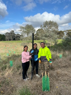 Tree-planting