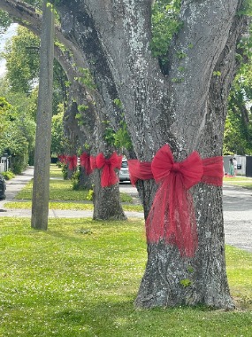 Christchurch, New Zealand. Christmas season 2022.