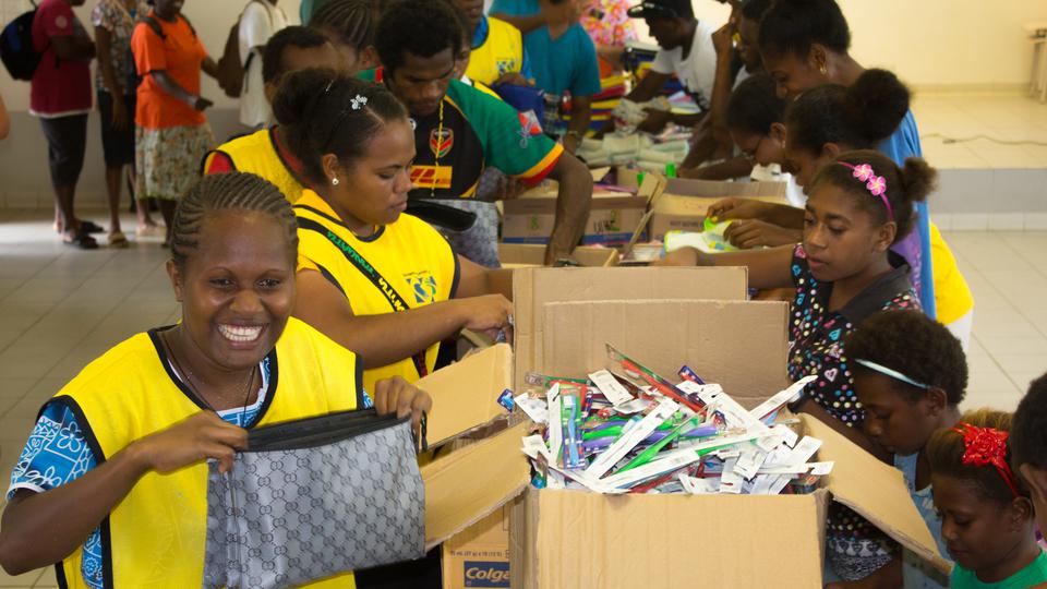YSA Vanuatu Service project
