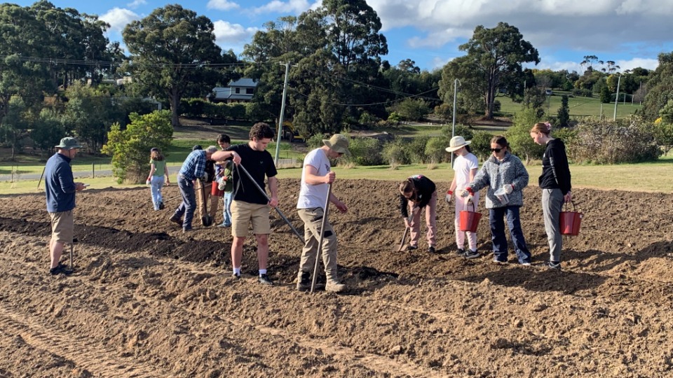 Tasmania Youth