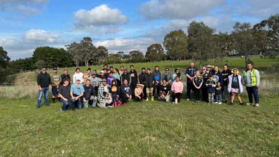 Tree planting