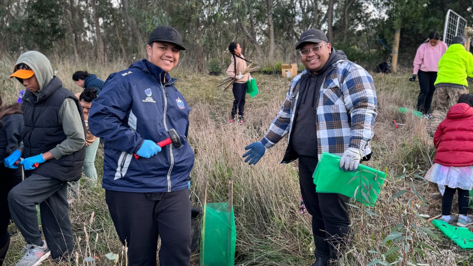 Tree-planting