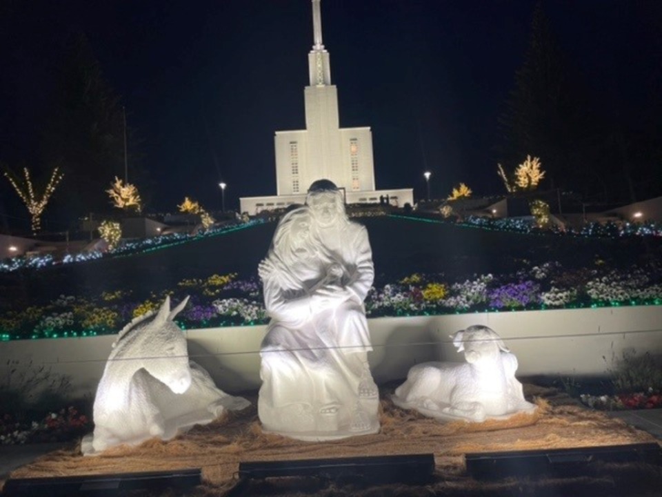 Christmas lights in the grounds and surrounds of the Hamilton New Zealand Temple, 2022.