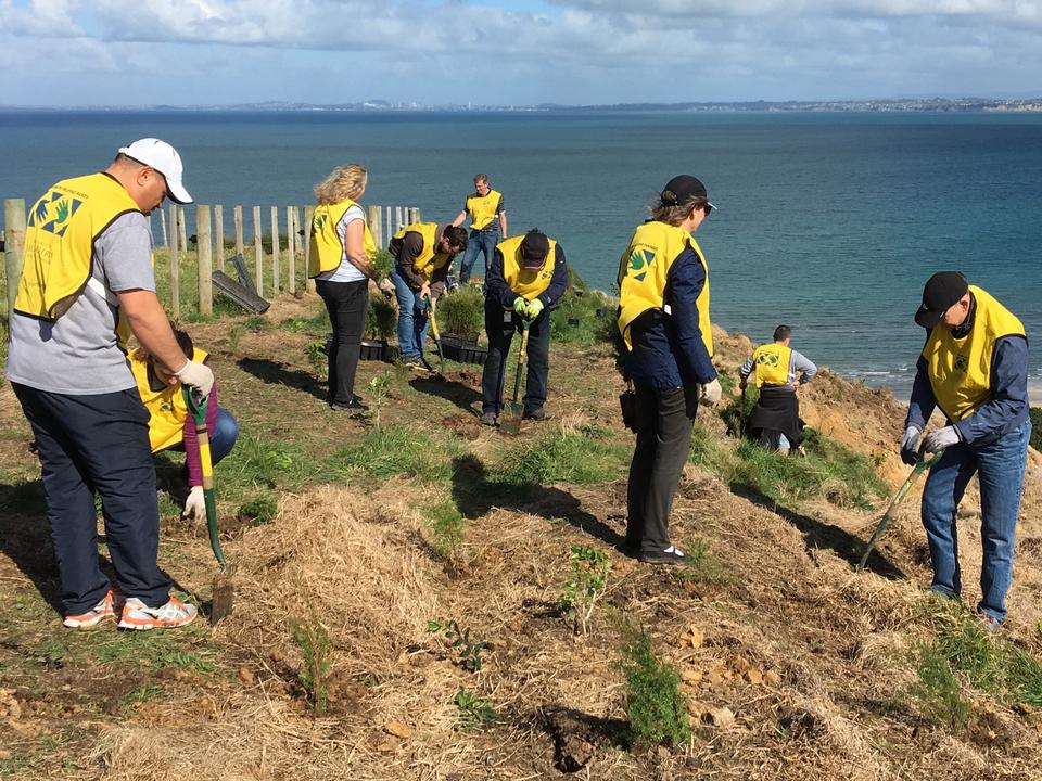 Volunteers and Employees from Church's Pacific Area Administration Office  Serve Auckland Communities