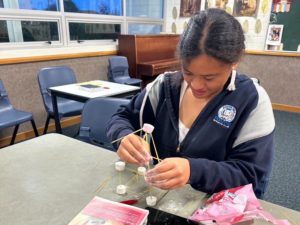 A young member of The Church of Jesus Christ of latter-day Saints in New Zealand attends Seminary.