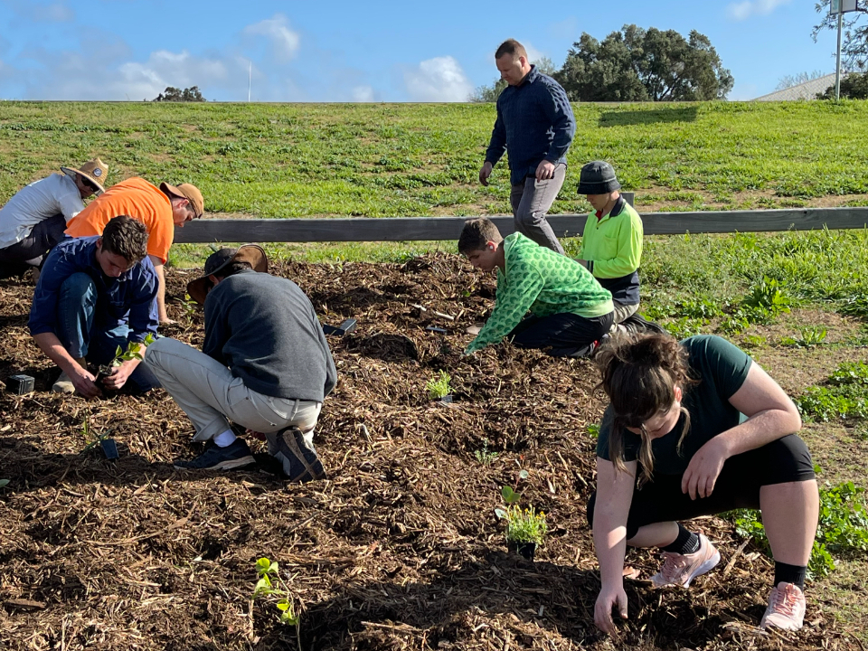 National-Tree-Planting-Day,-Westbook,-Queensland,-Australia,-